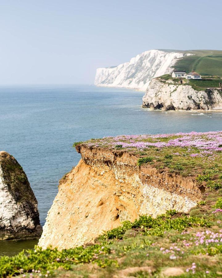 ホテル "Trinity" At Whitecliff Bay Isle Of Wight- Yarborough View 4 ベンブリッジ エクステリア 写真